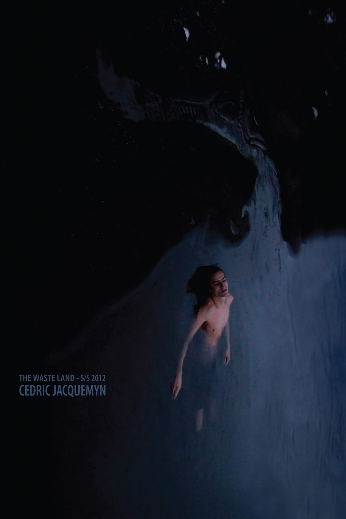 the waste land campaign image