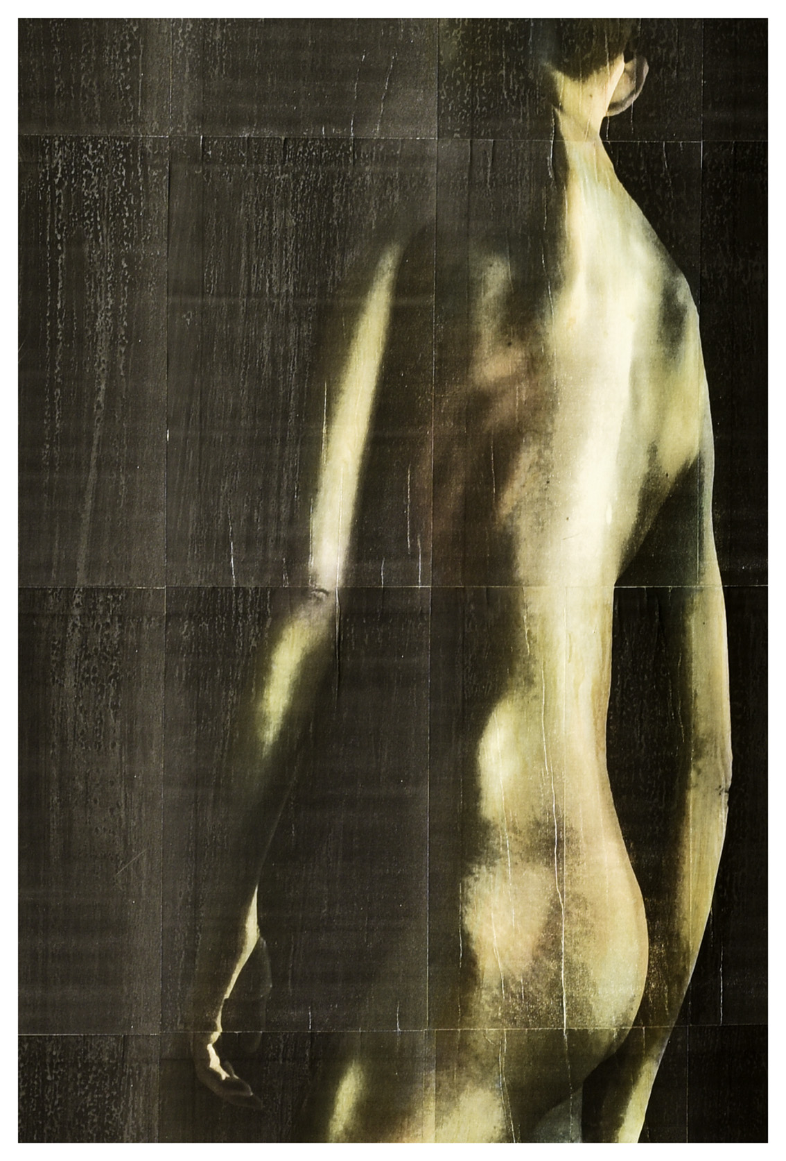 shadows of liberty