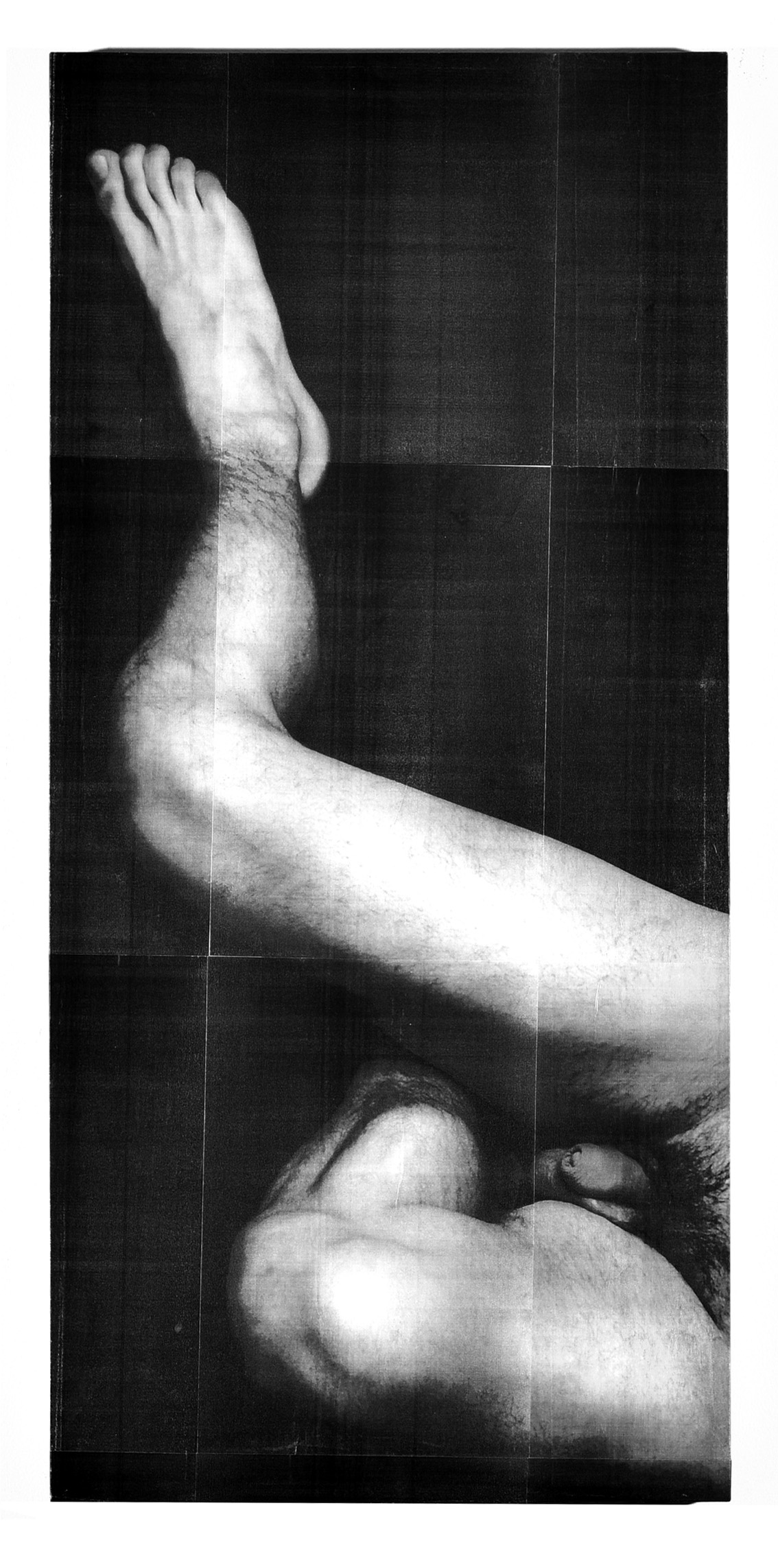 THE FEAR OF MAN, laserprint, charcoal and varnish on art panel 80 x 40 cm