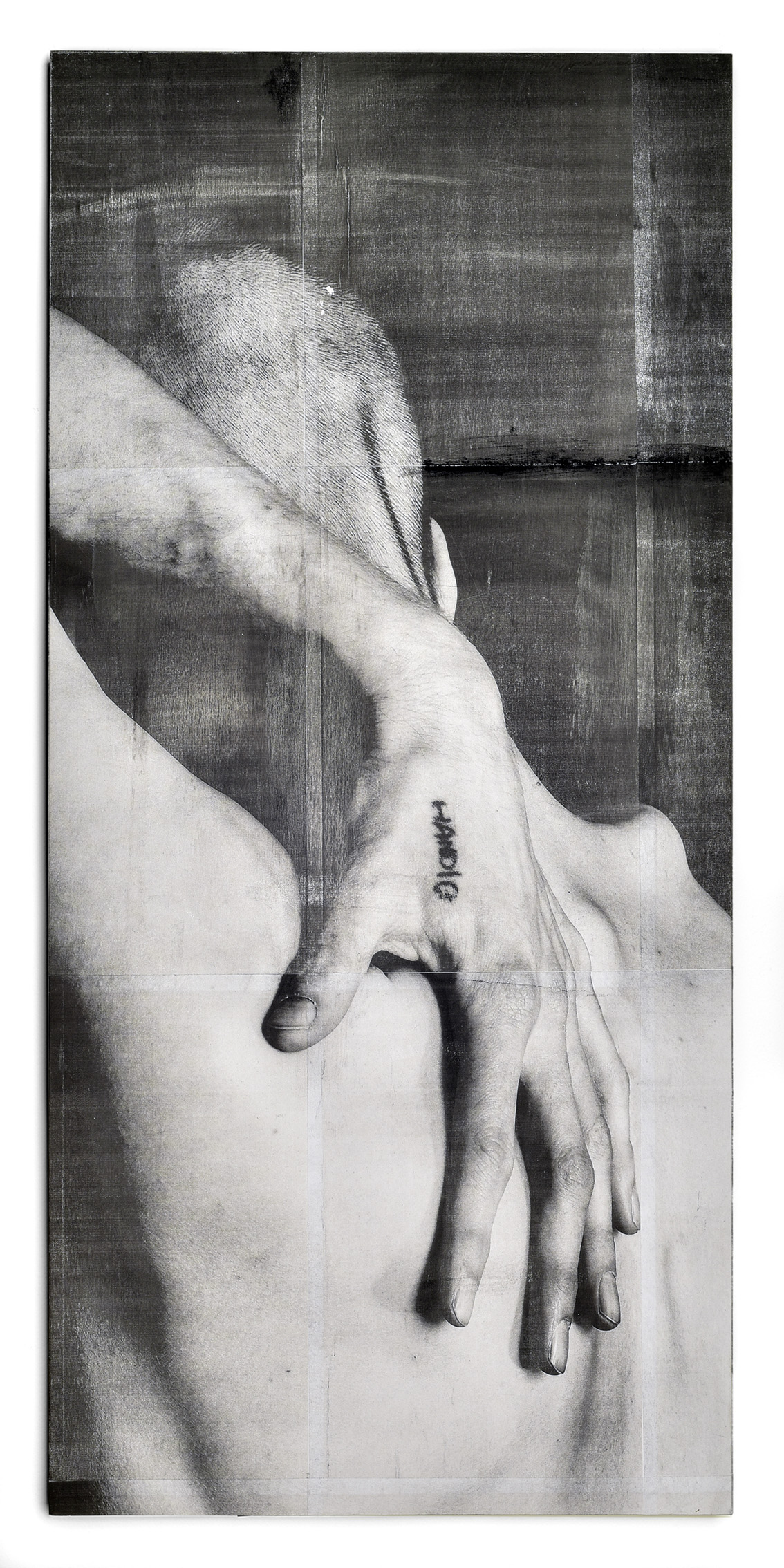 la caresse, laserprint, pigment and varnish on artpanel