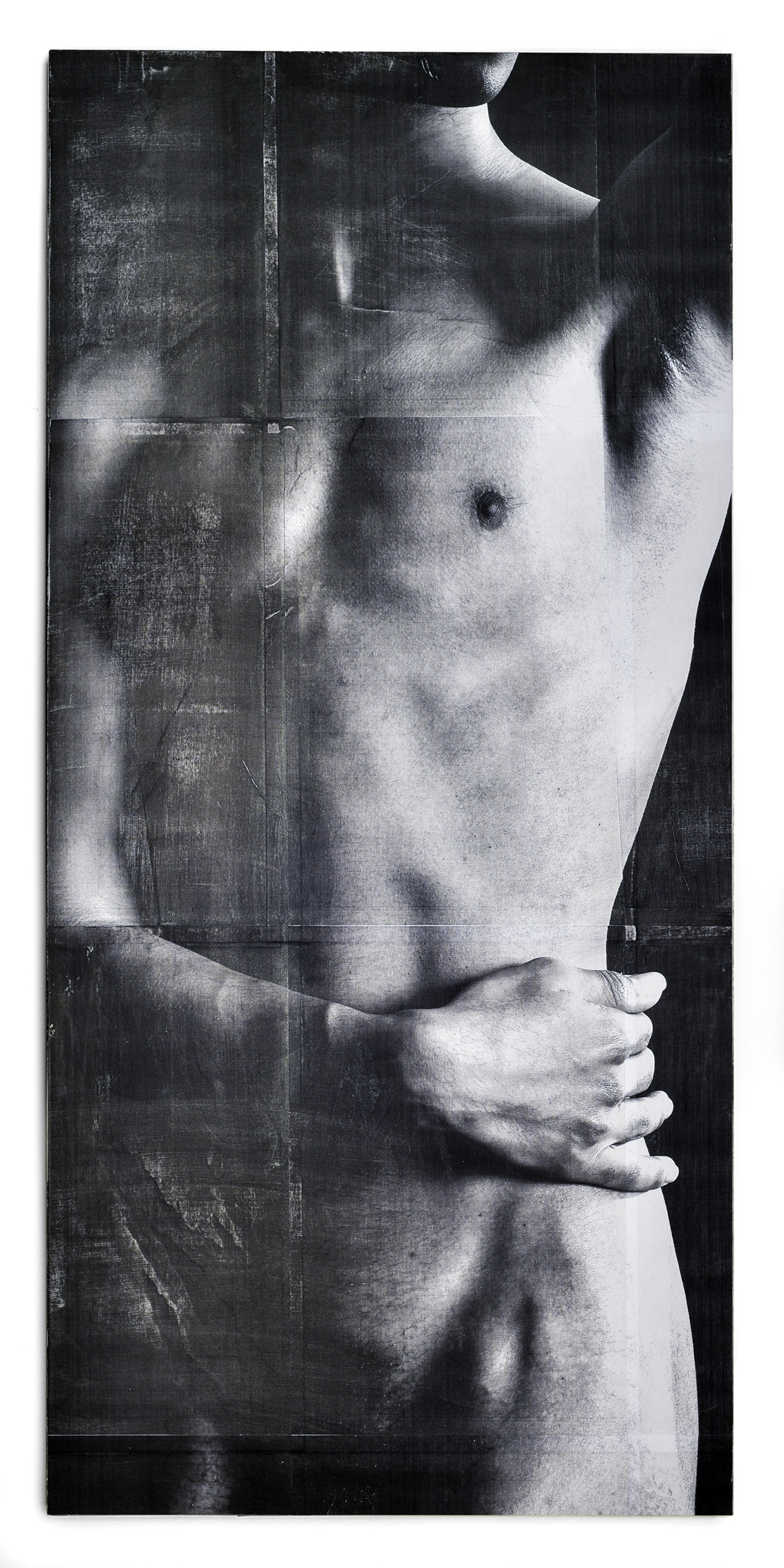 la fesse, laserprint, pigment and varnish on artpanel